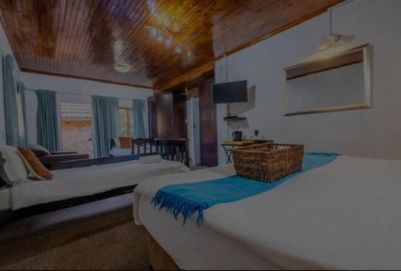 Aero Guest Lodge קמפטון פארק מראה חיצוני תמונה